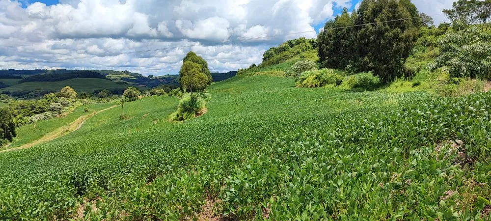 Fazenda, 52 hectares - Foto 16