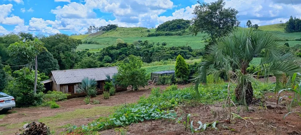 Fazenda, 52 hectares - Foto 19