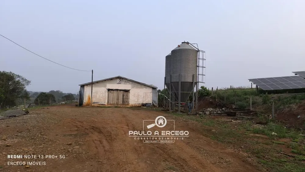Sítio, 4 hectares - Foto 6