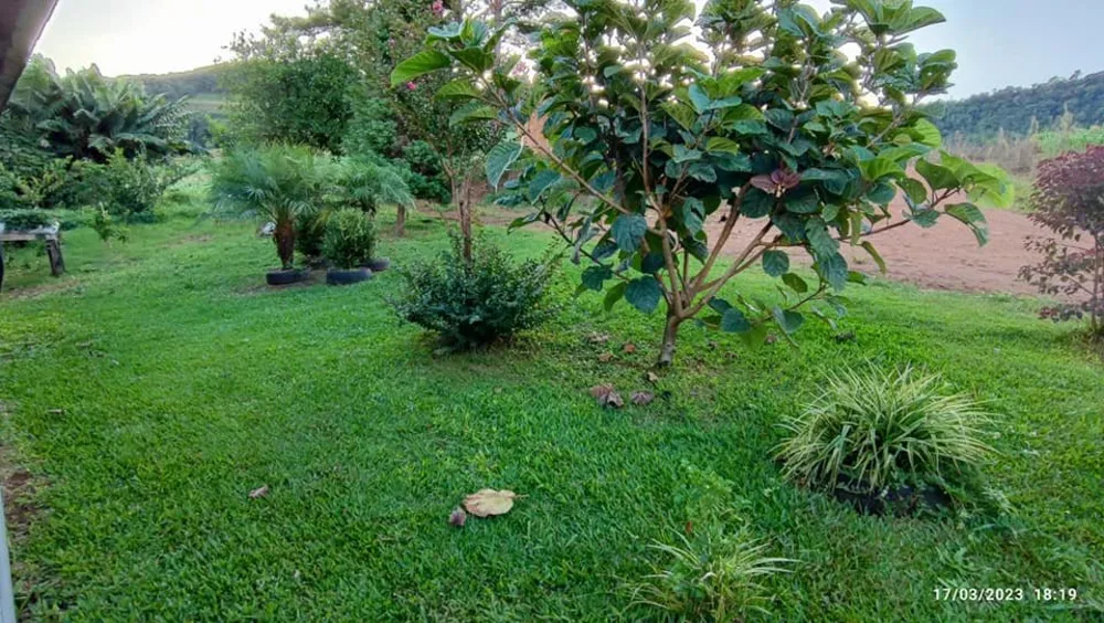 Sítio, 2 quartos, 8 hectares - Foto 3