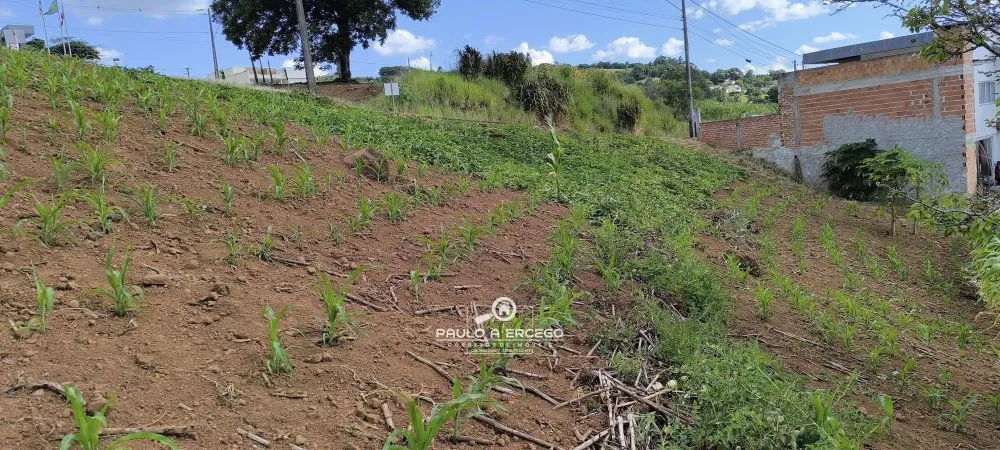 Terreno, 450 m² - Foto 4