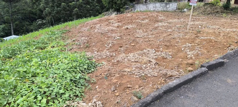 Terreno, 450 m² - Foto 5