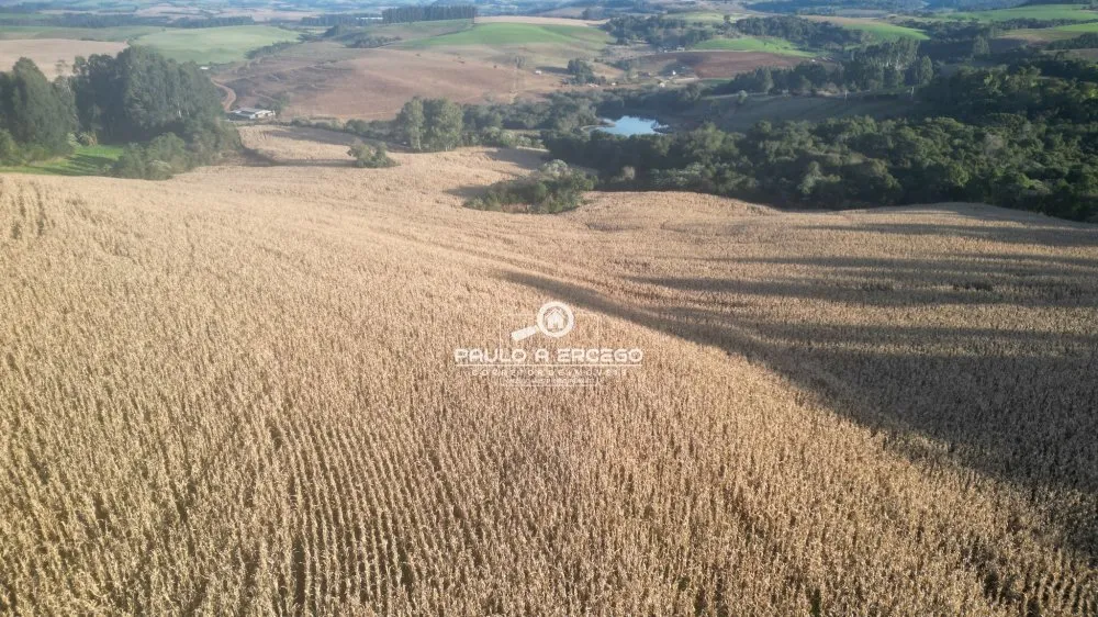 Fazenda, 22 hectares - Foto 10