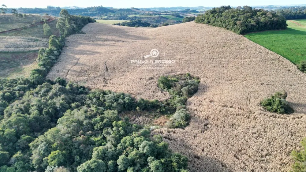 Fazenda, 22 hectares - Foto 12