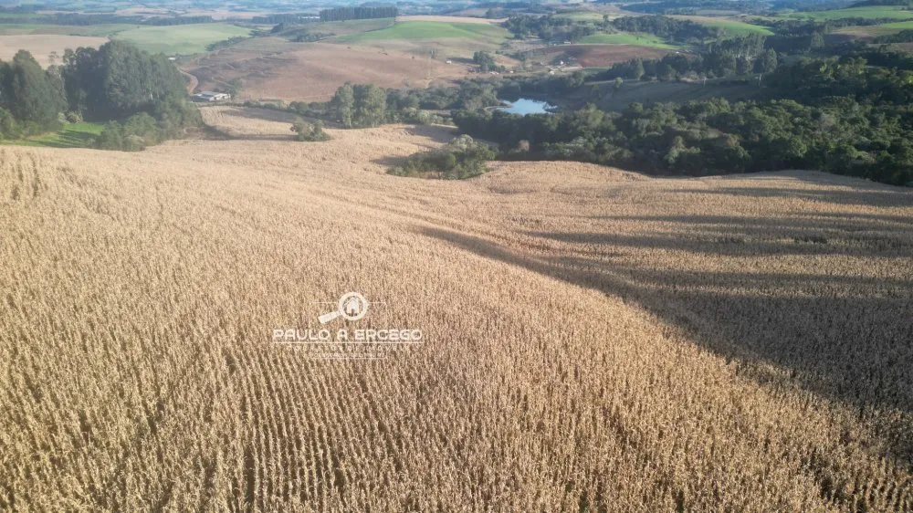 Fazenda, 22 hectares - Foto 11