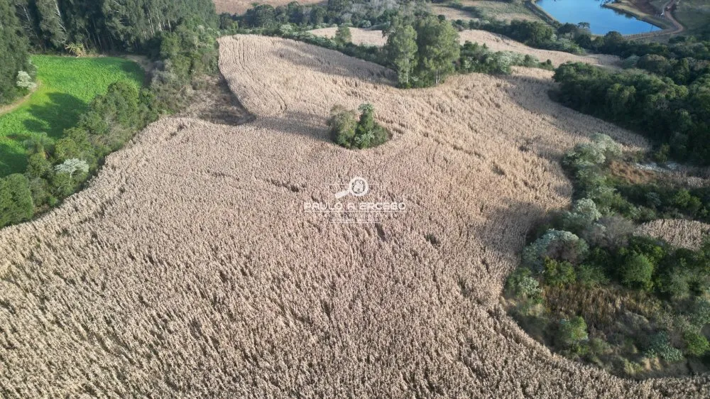 Fazenda, 22 hectares - Foto 14