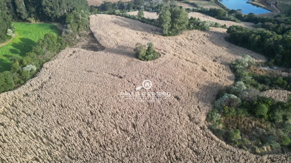 Fazenda, 22 hectares - Foto 13