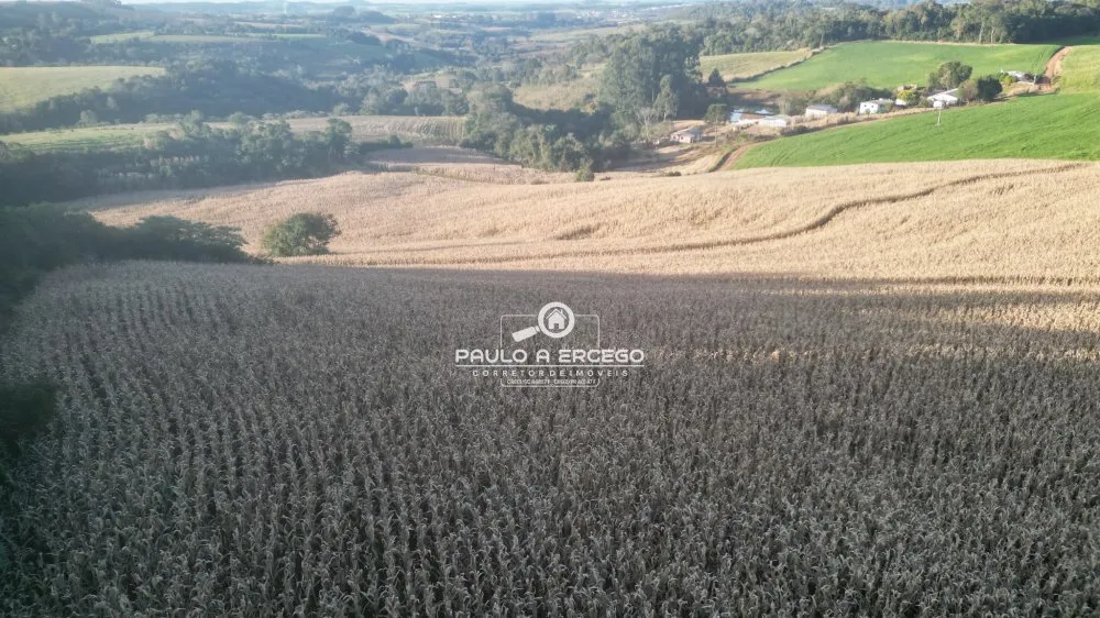 Fazenda, 22 hectares - Foto 2