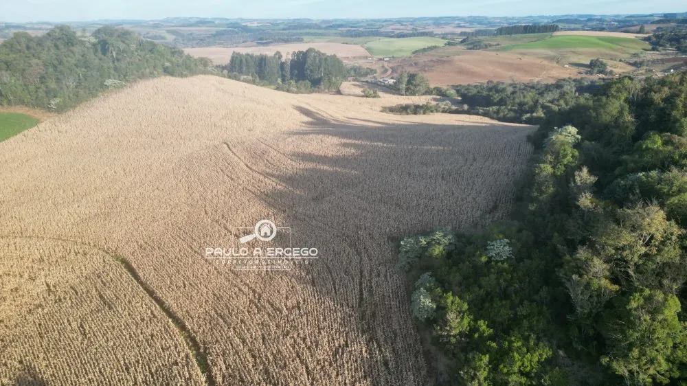 Fazenda, 22 hectares - Foto 4