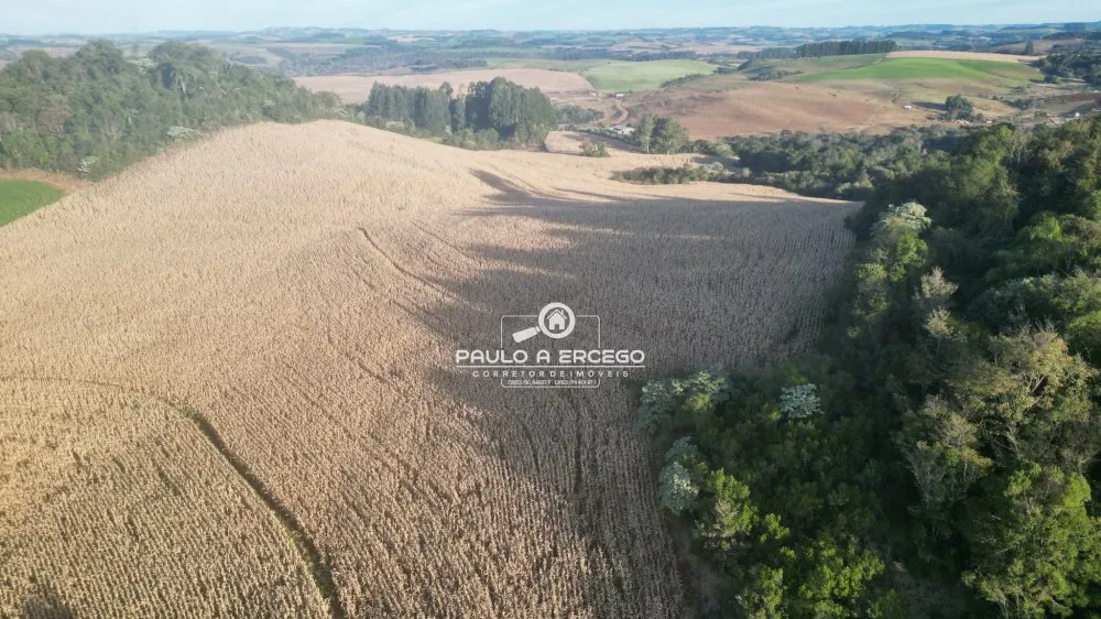 Fazenda, 22 hectares - Foto 6
