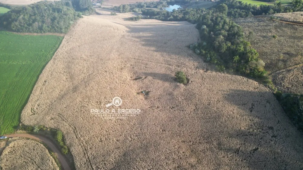 Fazenda, 22 hectares - Foto 9
