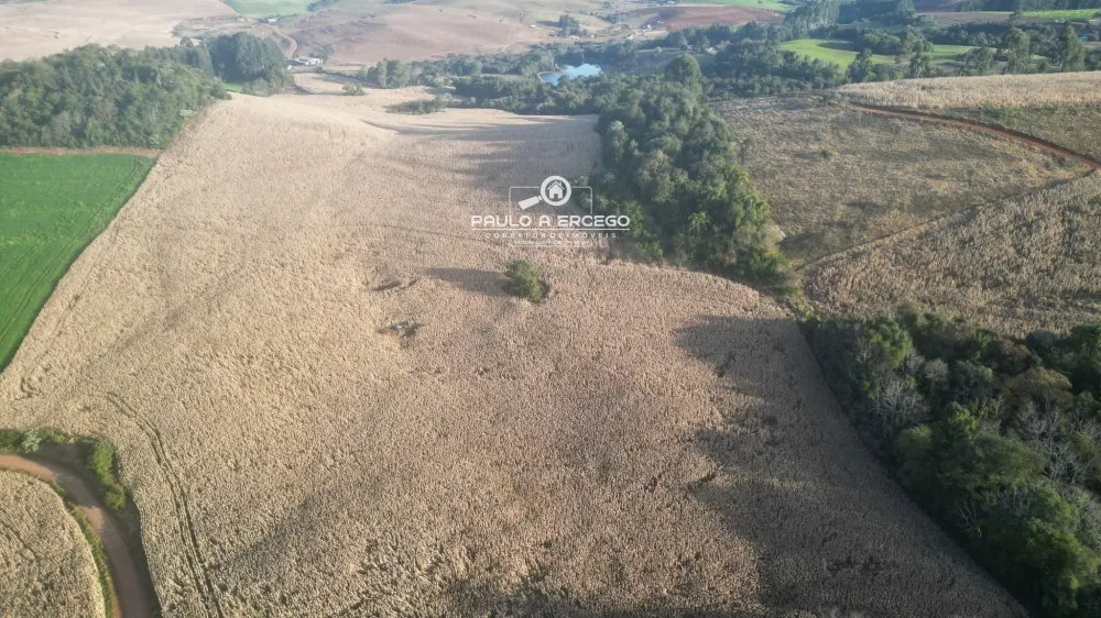 Fazenda, 22 hectares - Foto 8