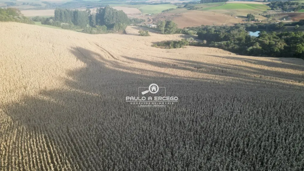 Fazenda, 22 hectares - Foto 7