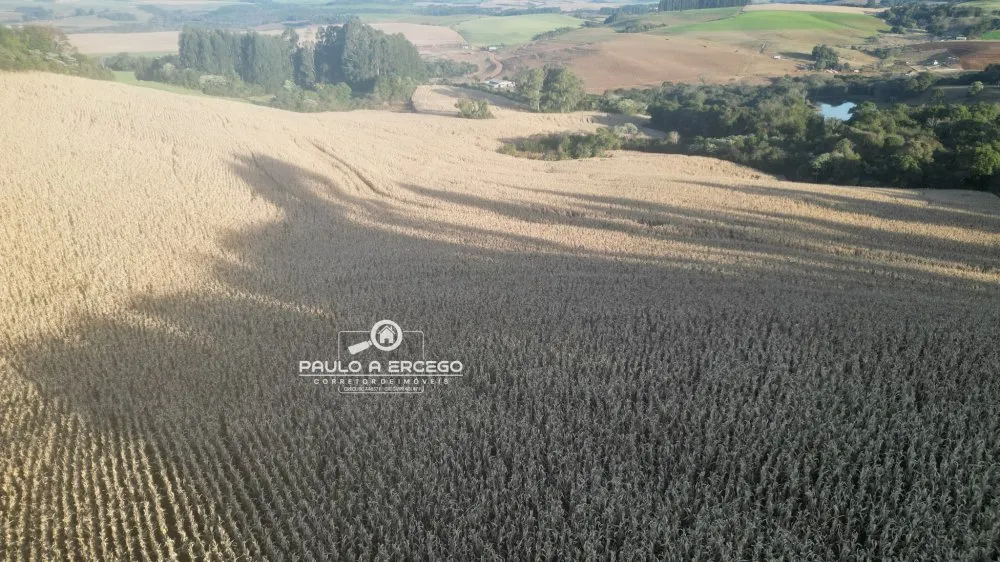 Fazenda, 22 hectares - Foto 3