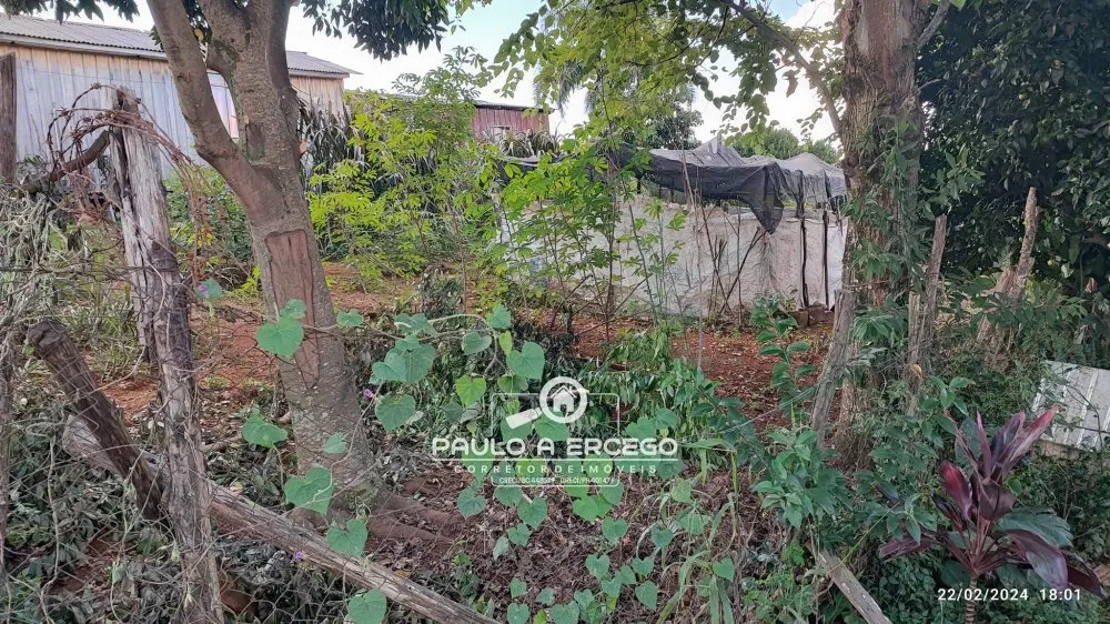 Casa, 2 quartos, 719 m² - Foto 7