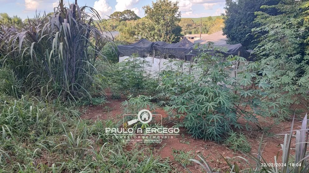 Casa, 2 quartos, 719 m² - Foto 8
