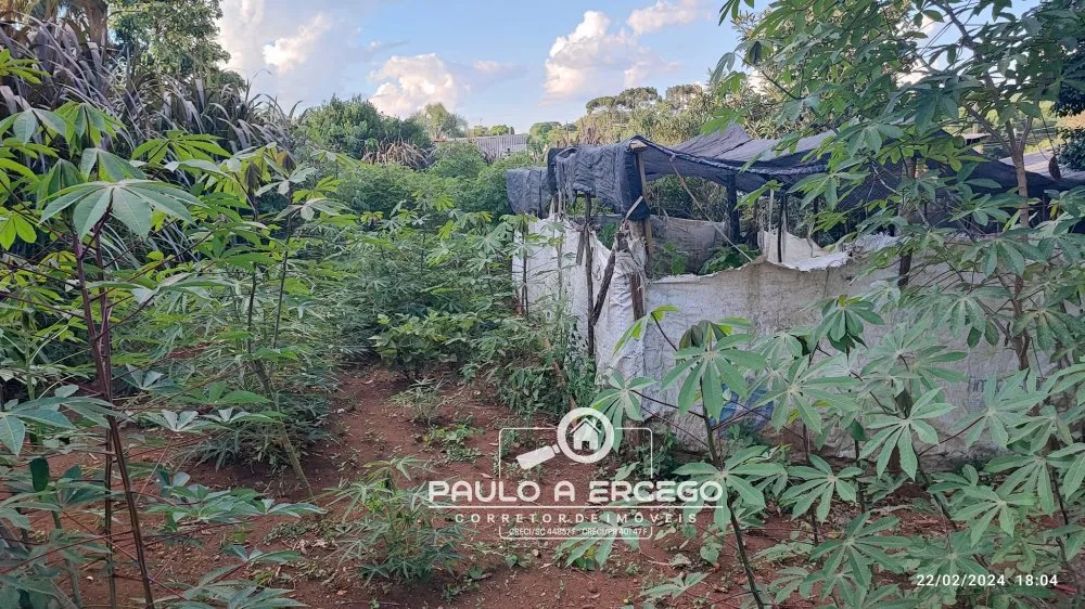 Casa, 2 quartos, 719 m² - Foto 14