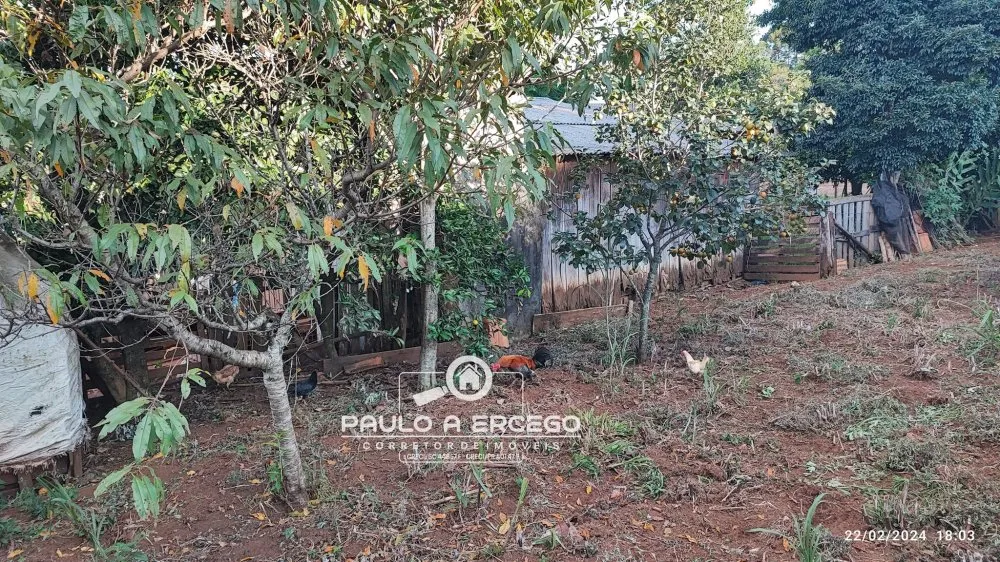 Casa, 2 quartos, 719 m² - Foto 4