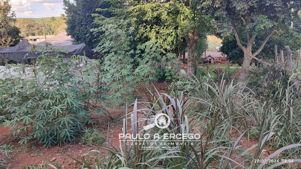 Casa, 2 quartos, 719 m² - Foto 11