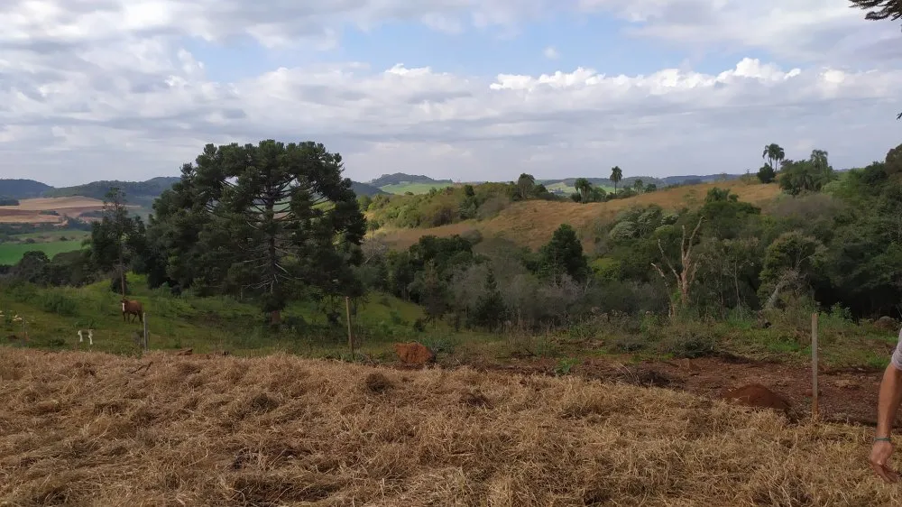 Fazenda, 60 hectares - Foto 15