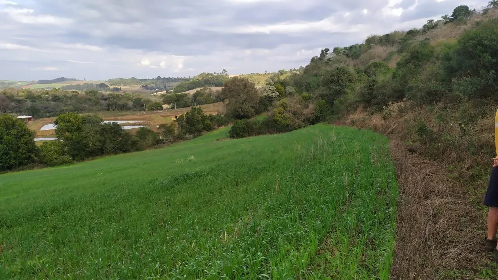 Fazenda, 60 hectares - Foto 16