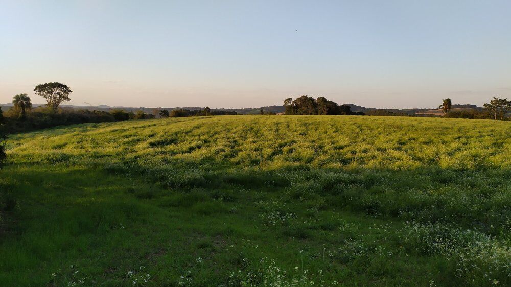 Fazenda, 60 hectares - Foto 2