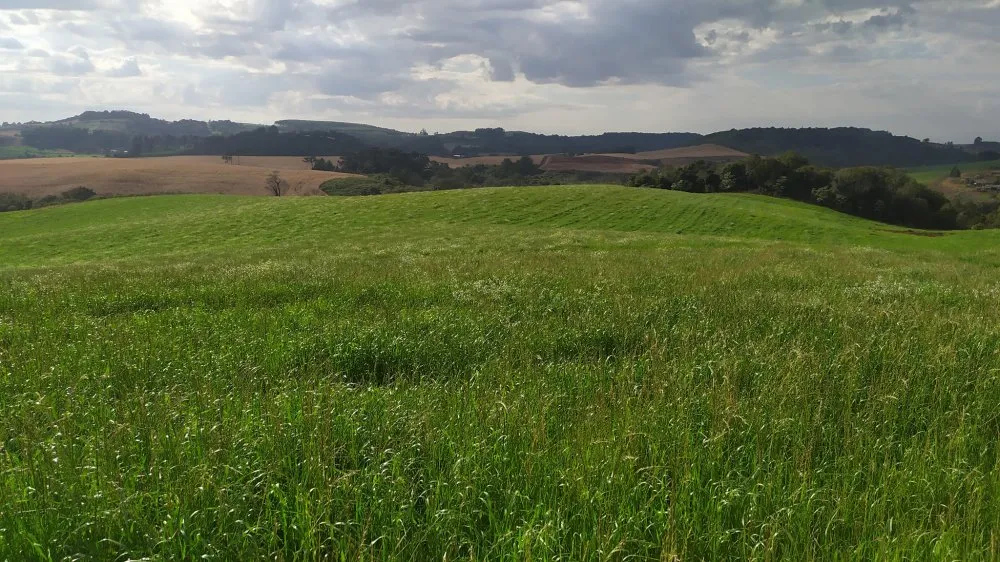 Fazenda, 60 hectares - Foto 19