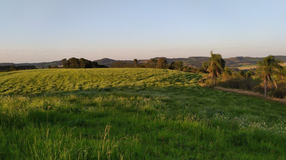 Fazenda, 60 hectares - Foto 1
