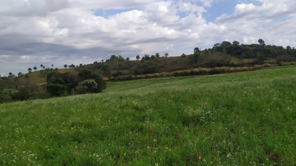 Fazenda, 60 hectares - Foto 4