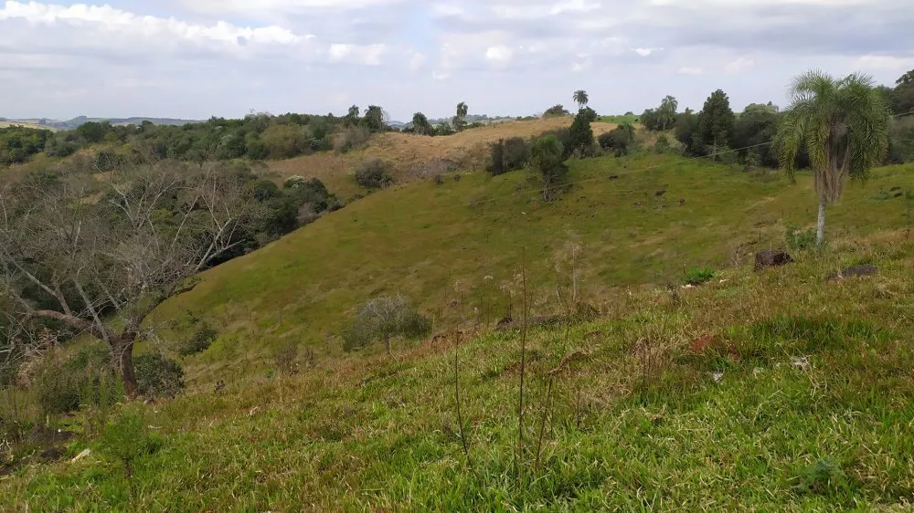 Fazenda, 60 hectares - Foto 17