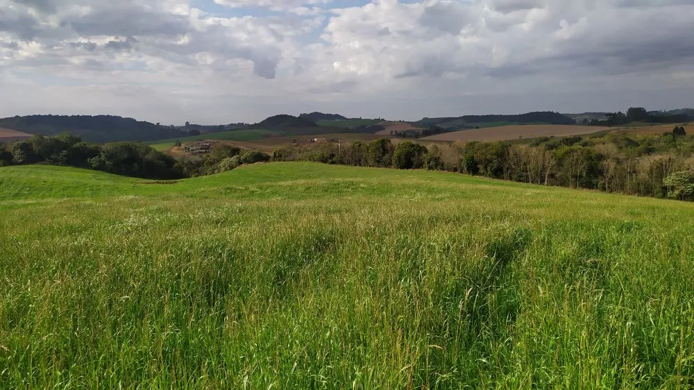 Fazenda, 60 hectares - Foto 11