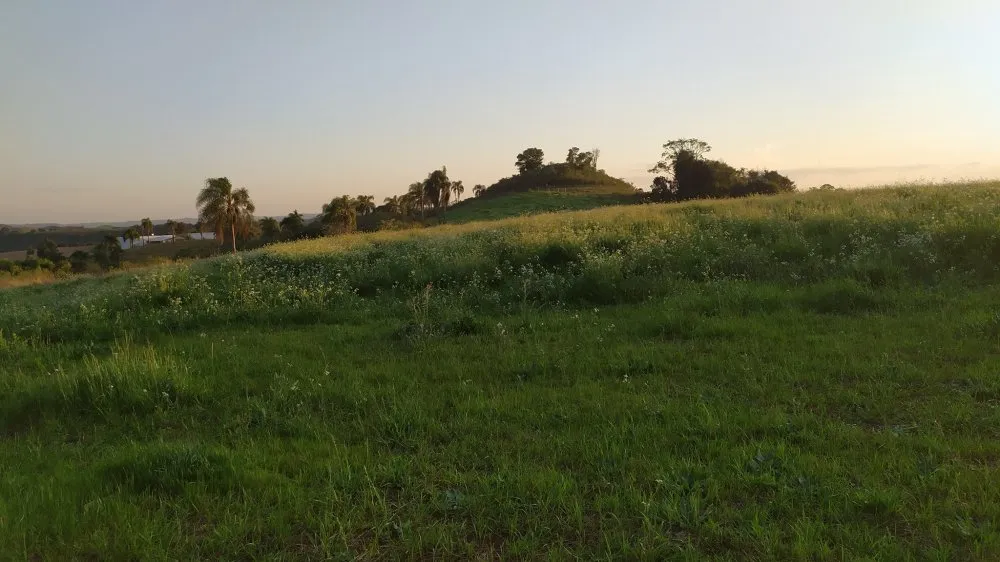 Fazenda, 60 hectares - Foto 13