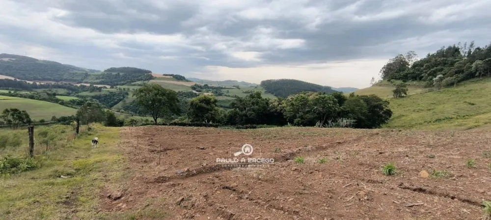 Sítio, 7 hectares - Foto 11