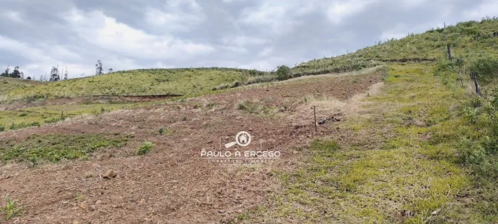 Sítio, 7 hectares - Foto 9