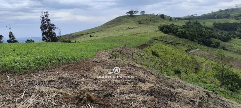Sítio, 7 hectares - Foto 12