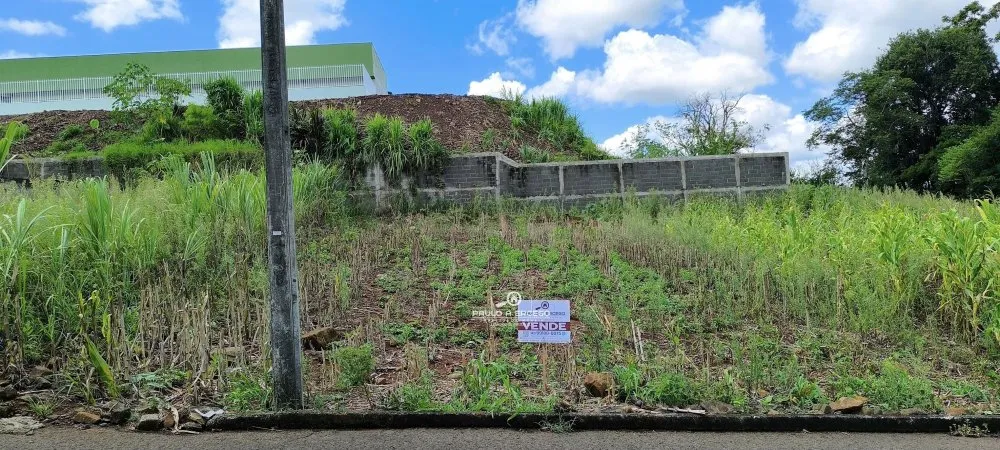 Terreno, 296 m² - Foto 11