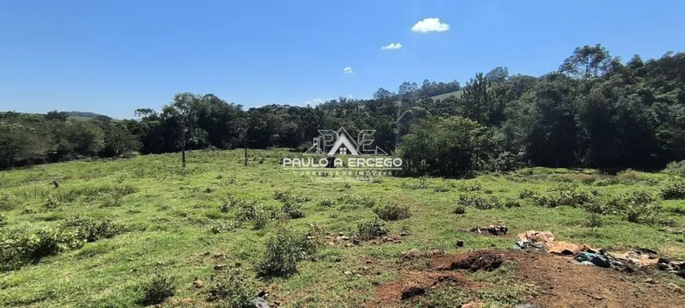 Sítio, 5 hectares - Foto 16