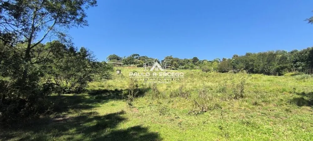 Sítio, 5 hectares - Foto 6