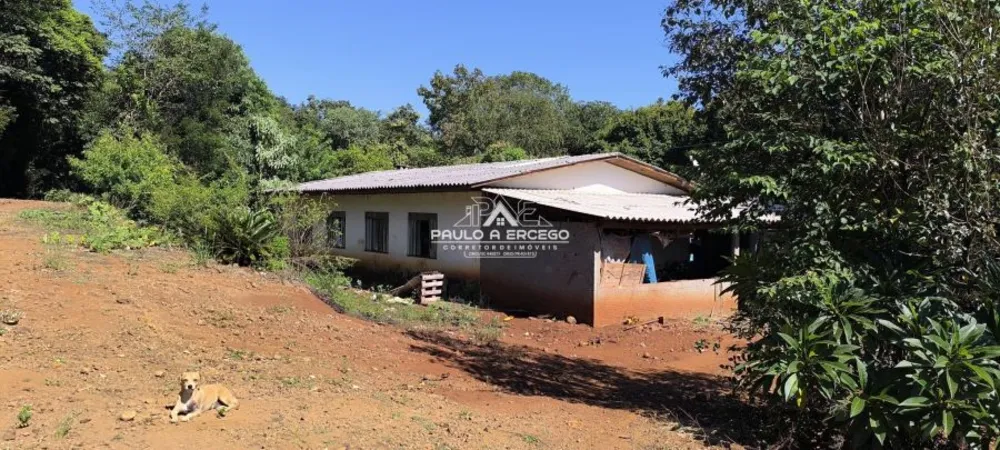 Sítio, 5 hectares - Foto 12
