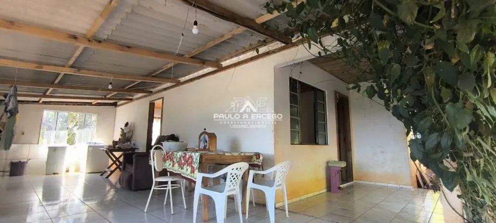 Sítio, 5 hectares - Foto 11