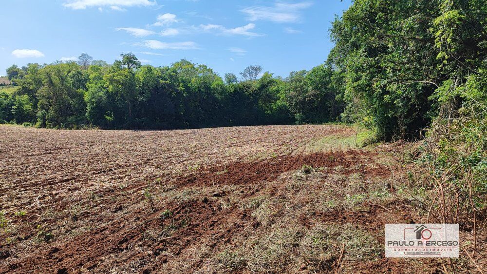 Sítio, 5 hectares - Foto 2
