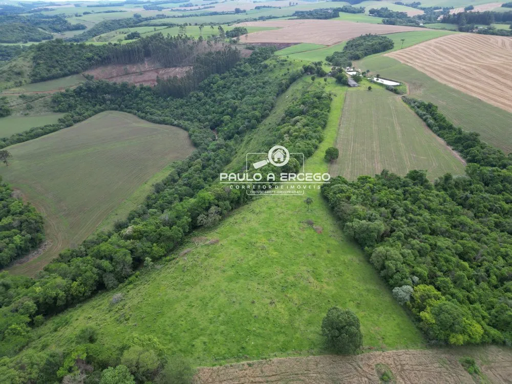 Sítio, 23 hectares - Foto 13