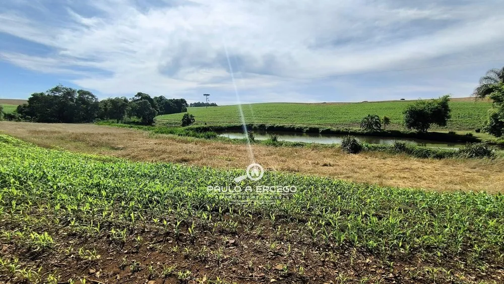 Sítio, 23 hectares - Foto 11