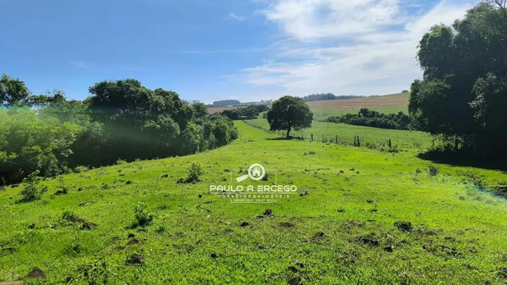 Sítio, 23 hectares - Foto 18