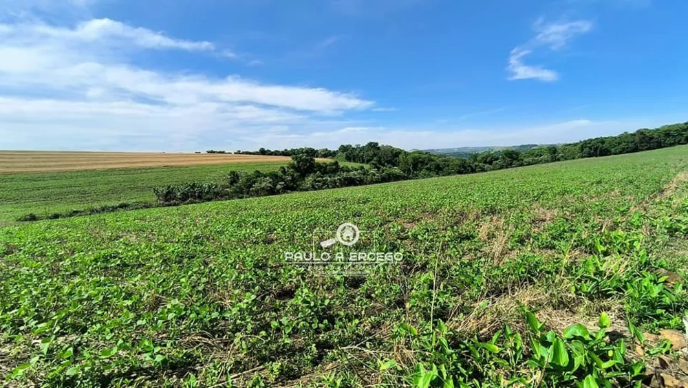 Sítio, 23 hectares - Foto 4