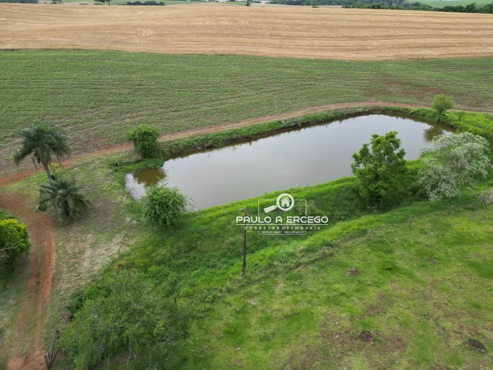 Sítio, 23 hectares - Foto 17