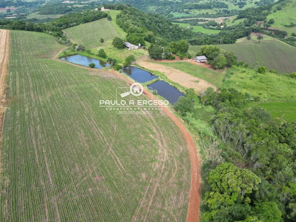 Sítio, 23 hectares - Foto 7