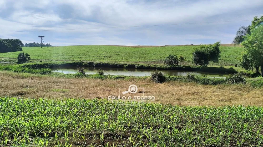 Sítio, 23 hectares - Foto 2