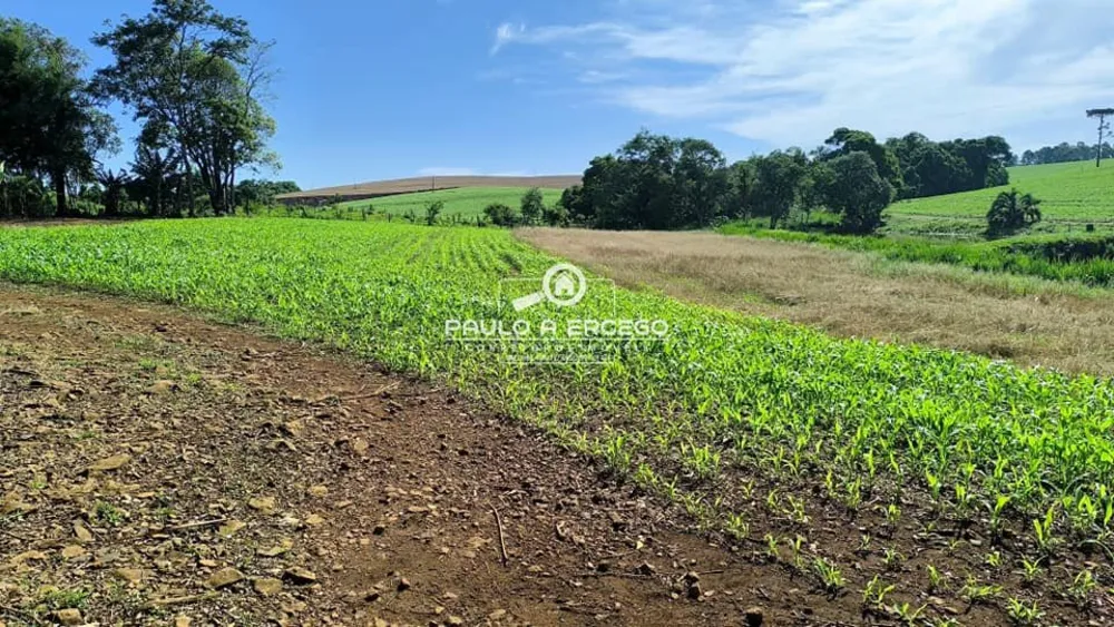 Sítio, 23 hectares - Foto 19