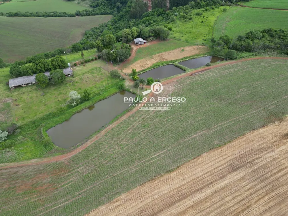 Sítio, 23 hectares - Foto 14